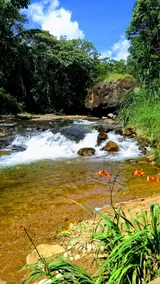 Casa Canto Verde: natural pool, barbecue area - Image 3