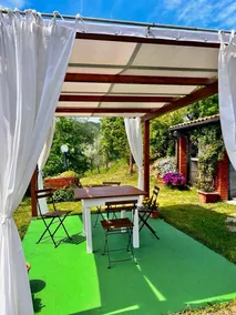 Woman's vegetable garden - Image 3