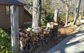 Wintergreen home, ideal location, dogs welcome! - Image 4