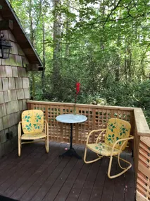 Cooper Mountain Tiny Cabin - Image 3
