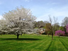 Country and nature - majestic views, convenience - Image 4