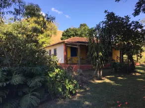 Coffee Valley Retreat - Nature and Privacy - Image 3