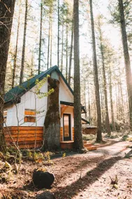 Little Explorer - The perfect mountain escape. - Image 2