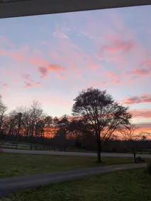 Fantastic 2 BR Apartment in Travelers Rest, SC - Image 4