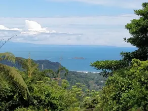 Private Jungle Retreat on 43 Acres - Home w/Pool - Image 2