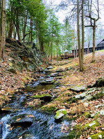 4Br Mountain Brook House on 130 acres w/ trails - Image 5