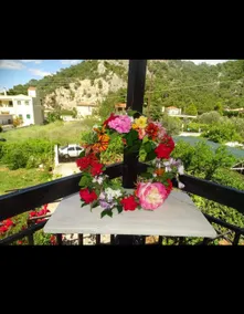 Almiri's House - Image 5