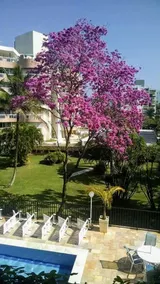 Apartment in Riviera de São Lourenço - 100 meters from the beach. - Image 3