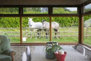 A Special Space in a Magical Place - Image 5