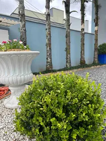Retreat in the heart of Joinville - Image 5