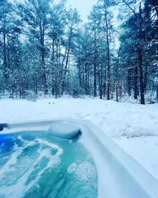Pet-friendly cabin with hot tub and beach access! - Image 5