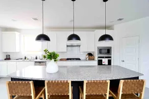 Luxe 4BR in Little Elm |Game Room | Fire Pit - Image 2