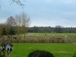 Oneroom-Appartement at our Alpacafarm - Image 4