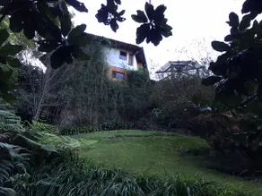 A House with a Forest - Image 4