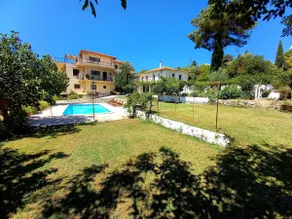 Elena's Summer House - Image 2