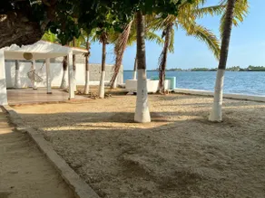 Las Palmeras - Image 3