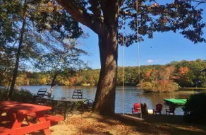 Lakeside cottage ON the water with beautiful views up the lake! - Image 3
