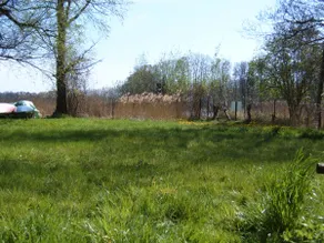 Quiet & charming cottage on Canower Lake - Image 5