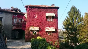 The Ivy House in the Castle - Image 2