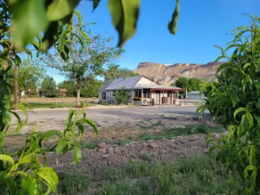 Quaint Farmhouse on  Palisade Peach Orchard close to Wineries - Image 2