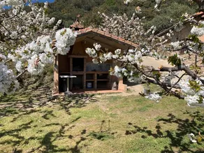 Casa Rural Canchal Madroñeras *** - Image 5