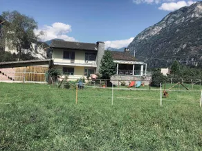 Small paradise for humans and animals - Image 3