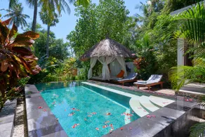 Honeymoon Escape - Image 2