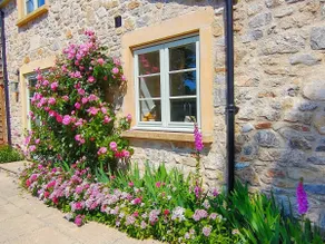 Peaceful, scenic,cosy cottage near Wells and Frome - Image 3