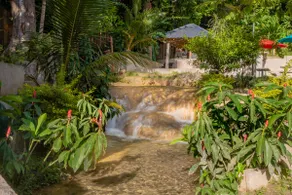 Fruta Villa, Tropical Oasis With River & Waterfall - Image 2