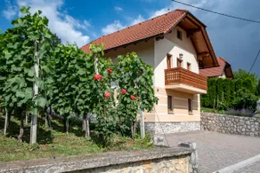 Vineyard Cottage Pod Piramido - Image 2