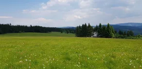 Mountain Chalet - Chata Magistrala (Flat) - Image 3