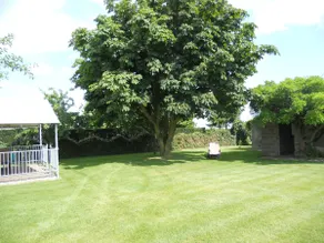 Holiday home Het Margrietje - Image 4