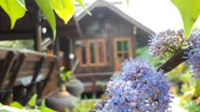 Garden Room Thai2 Suvarnabhumi - Image 3