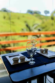 Suite with a view of the woods, with a swimming pool and waterfall - Image 3