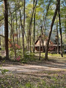 Entire house- Falcon's Nest - Image 2