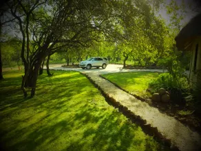 A Home in The Bush - Image 2