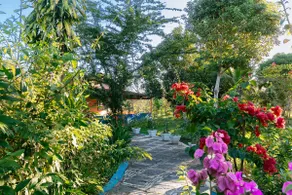 Casa Bosque Florido - Image 4