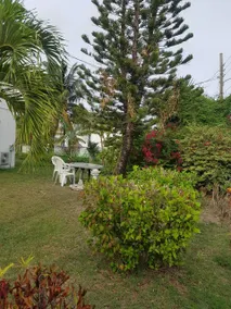 Quiet Oasis Near Beach and City - Image 3