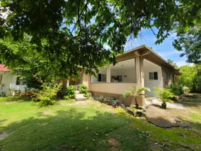 1. Providence Garden - Eco-Friendly & Wellness - Image 2