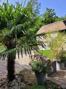 Loire Tower Gîte - Image 5