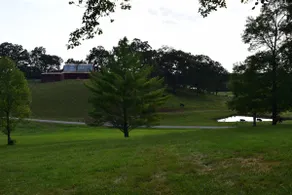 Tellico Farm Cottage - Image 4