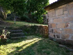 Casa do Vale de Cerva - Image 5