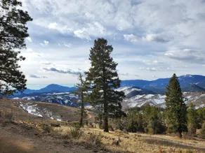 1900's Log Cabin with Spectacular Valley View - Image 2