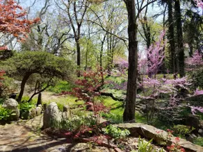 The Rock House - Image 2
