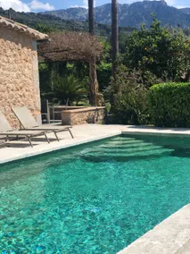 Ses llimoneres - Image 2