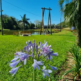 Beautiful place in Dois Vizinhos amidst Nature - Image 2