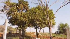 The Ranch, Daily or Season Rental House - Image 5