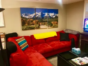 Denver Blue Bear Den 3 BR, 2 BA DTC Hot Tub Apt. - Image 2