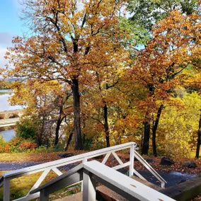 Peaceful Cottage with 5 Mile River Views - Image 4