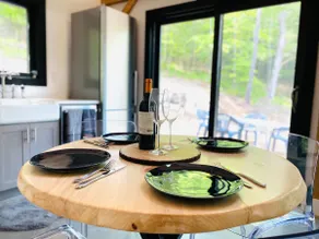 Modern Okemo Smart Cabin - As Seen On DIY Channel - Image 3
